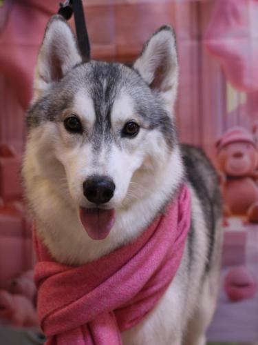 20241218てるくん